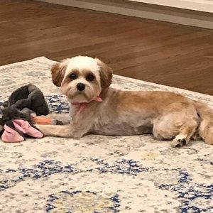 Meet your Posher, Danielle